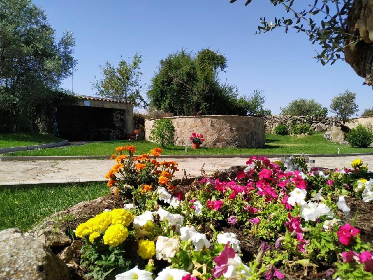 El Lagar Del Abuelo En Arribes Del Duero, Badilla, *